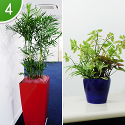 スタイリッシュカバー+寄せ植えセット