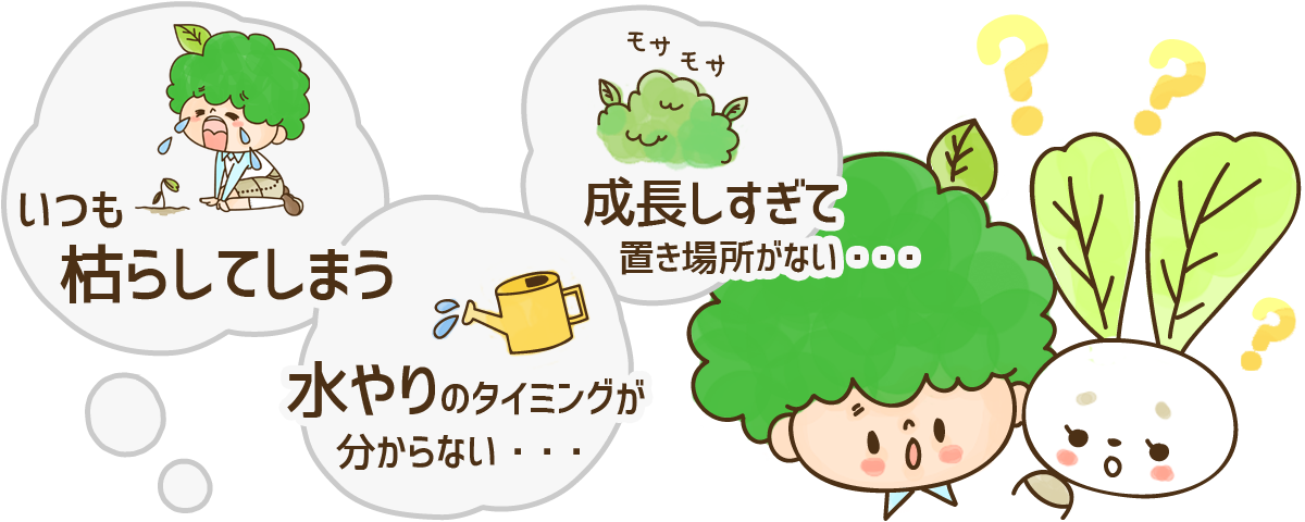 「いつも枯らしてしまう」「水やりのタイミングが分からない・・・」「成長しすぎて置き場所がない・・・」