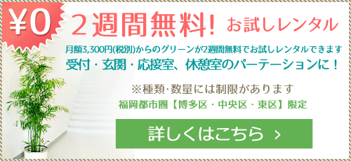 ２週間無料！お試しレンタル