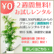 ２週間無料！お試しレンタル