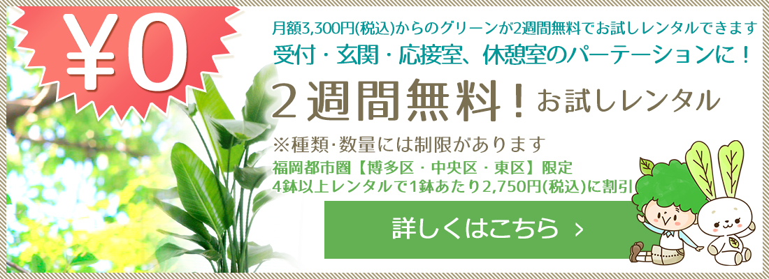 福岡の観葉植物のリース・レンタルは「うらかわ園芸」