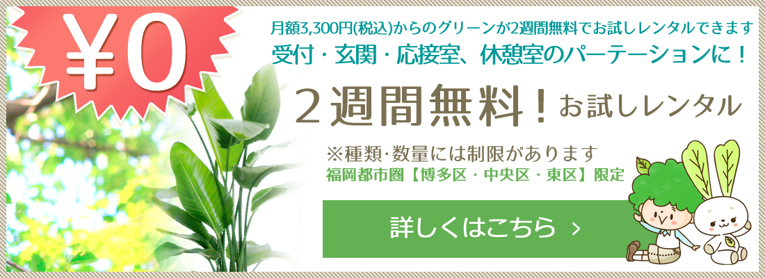 福岡の観葉植物のリース・レンタルは「うらかわ園芸」