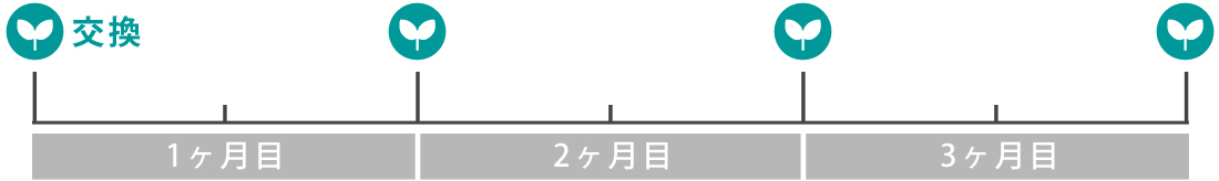 うらかわ園芸:毎月交換/メンテナンスなしプラン 交換・メンテナンス目安表